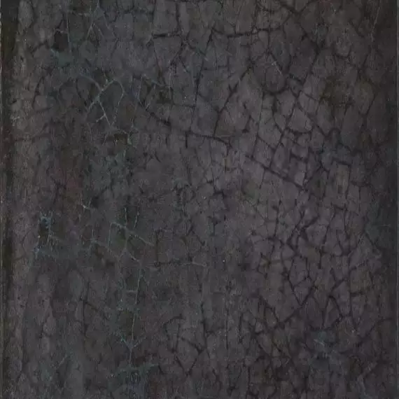Maiolica Nero 20x20