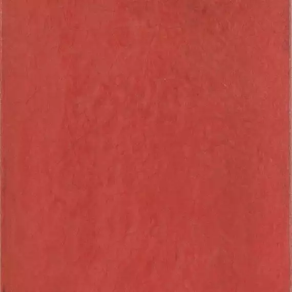 Maiolica Rosso 20x20