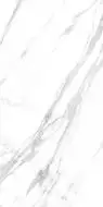 Marble Royal White 120x60
