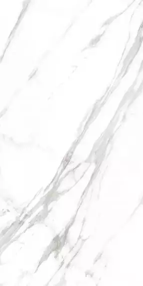 Marble Royal White 120x60