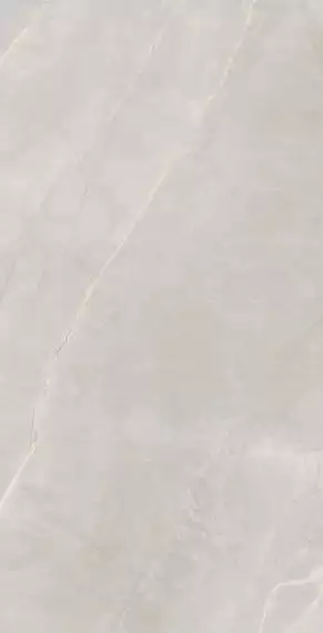 Marble Royalish Grey 120x60