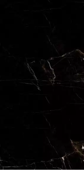 Marble Tropic Black 120x60