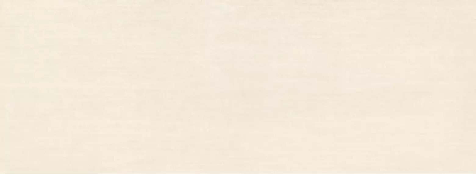 Mareda white 32.8x89.8