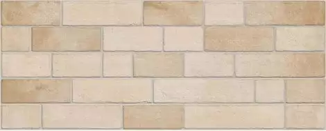 Marlon Beige 20*50