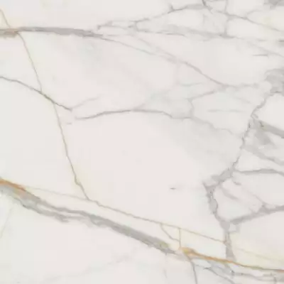 Marmo d Oro POL 119.8x119.8