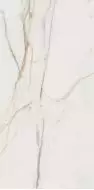 Marmo d Oro POL 119.8x59.8