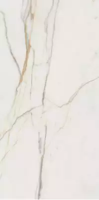 Marmo d Oro POL 119.8x59.8
