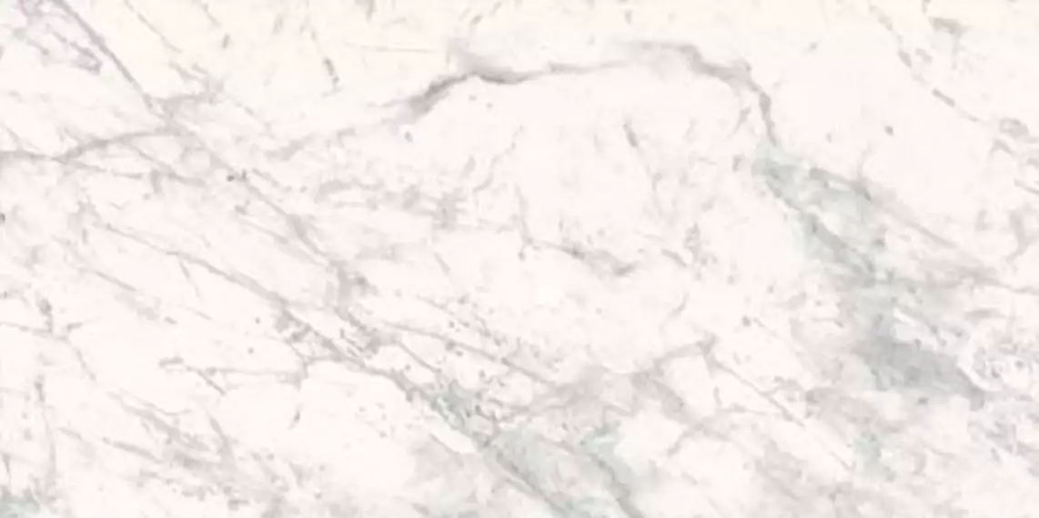 Marmoker Bardiglio Bianco 36SC R9 59x118