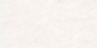 Marmoker Bianco Vietnam Lucido 6.5mm 60x120