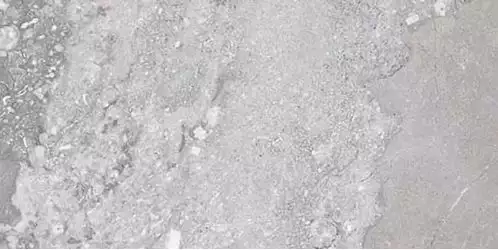 Marmoker Breccia Carsica Lucido 60x120