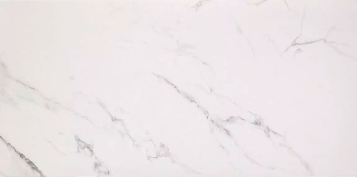 Marmoker Lucido STATUARIO GRIGIO 258Х118