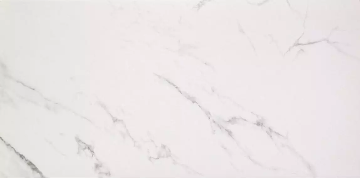 Marmoker Lucido STATUARIO GRIGIO 59Х118