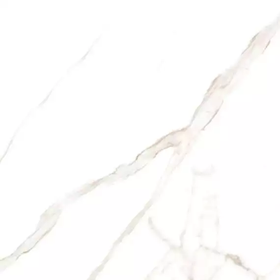 Marmoker Statuario Oro Honed 60x60