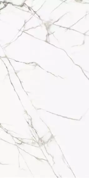 Marmoker Titan White Lucido 6.5mm 59x118