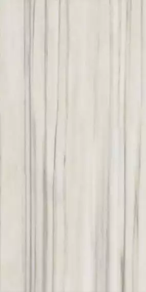Marmoker Zebrino 60x120