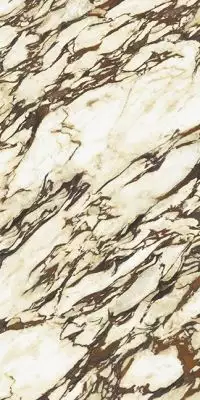 Marmora Pavonazzetto Lucido 9mm 60x120