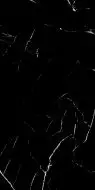 Marquina Nero High Gloss 60x120