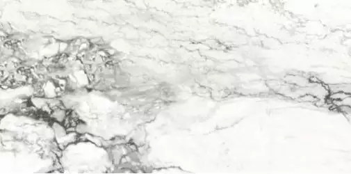 Medicea Marble Pol 60x120