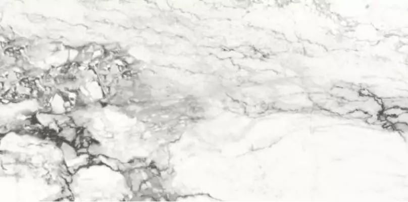 Medicea Marble Pol 60x120