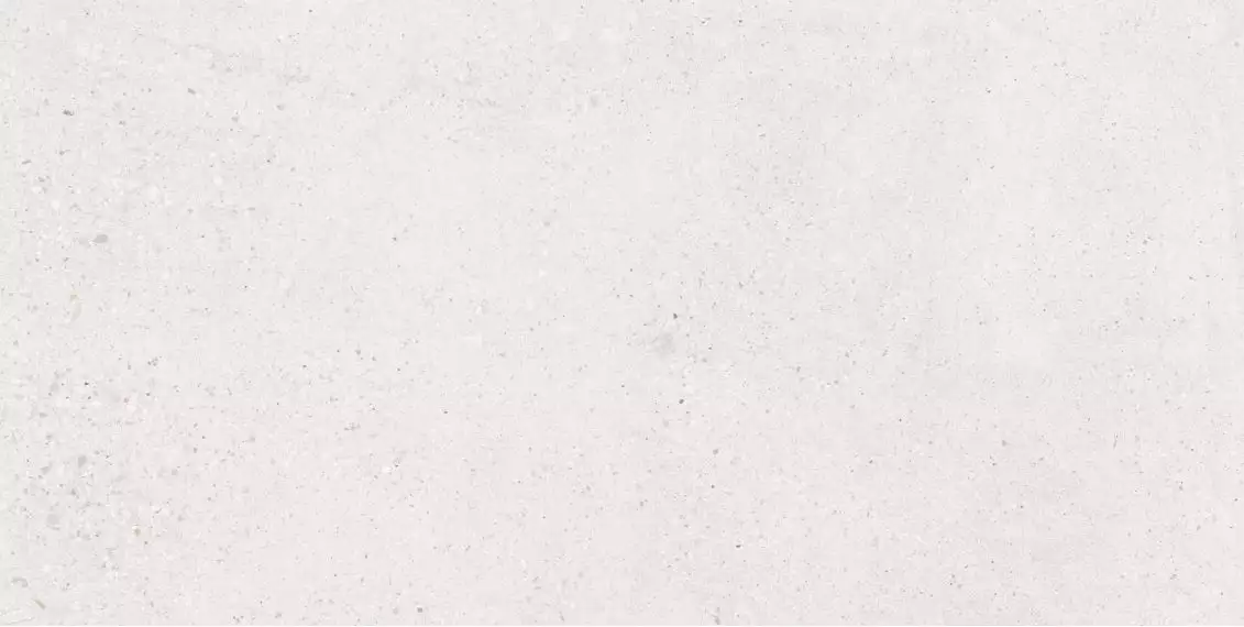 Memory Blanco Matt 60x120