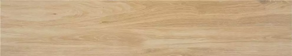 Meriadoc Haya 23*120