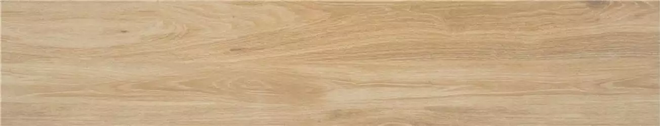 Meriadoc Haya 23*120