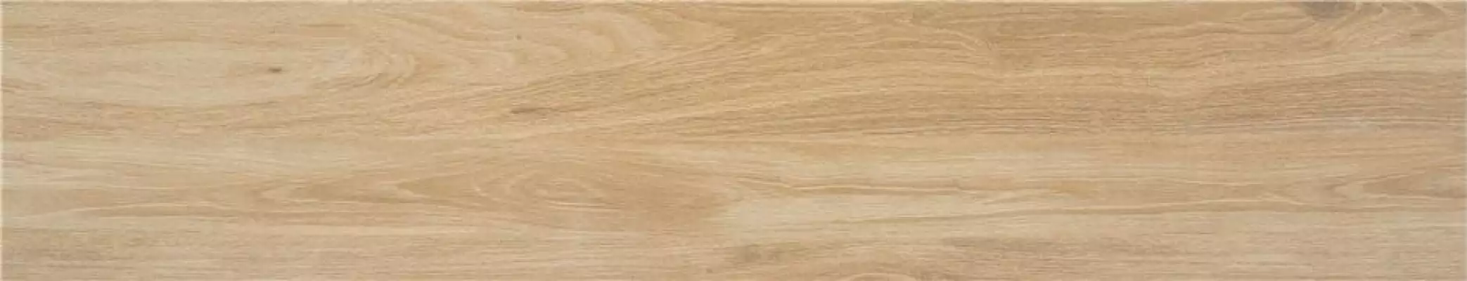 Meriadoc Haya 23*120