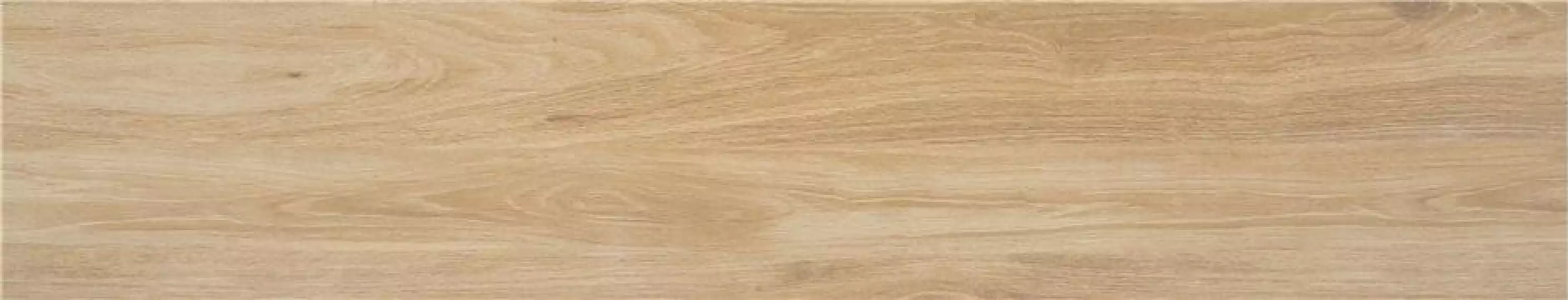 Meriadoc Haya 23*120