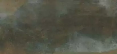 Metallic Wild 120x260