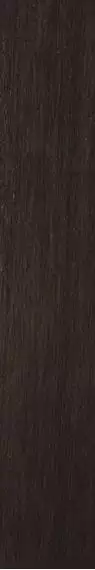 Metalwood Bronzo Naturale 10x60