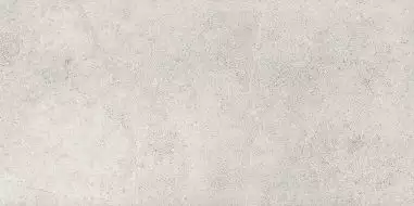 Meteor Grey 29.8x59.8