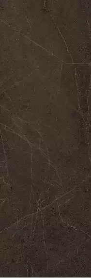 Minimal Stone Nero Rekt 29.8x89.8