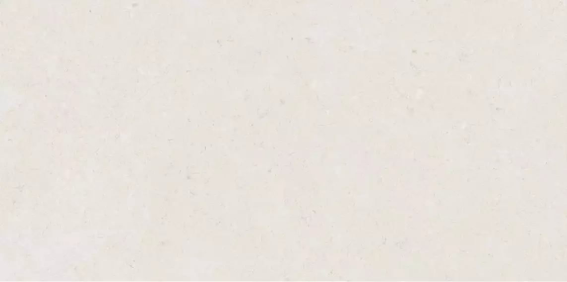 Mistic Light Grey Gloss 60x120