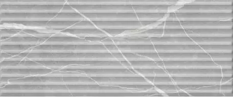 Modello grey серый 03 25x60