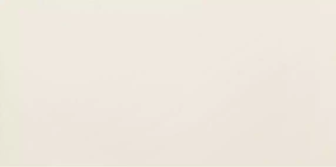 Modern Pearl beige 29,8x59,8