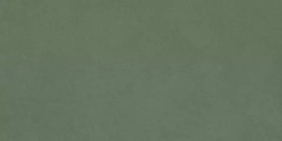 Moderno Stucco Verde Matt 60x120х0,9