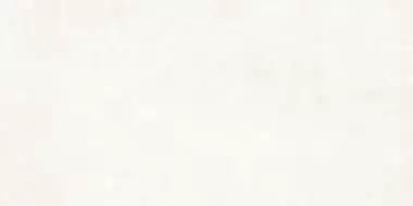 Moderno Stucco White Matt 60x120х0,9