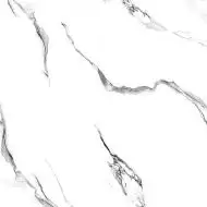 Molly white 60x60