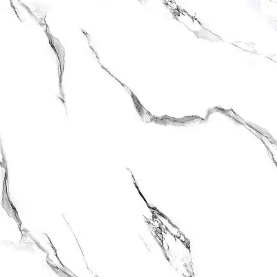 Molly white 60x60