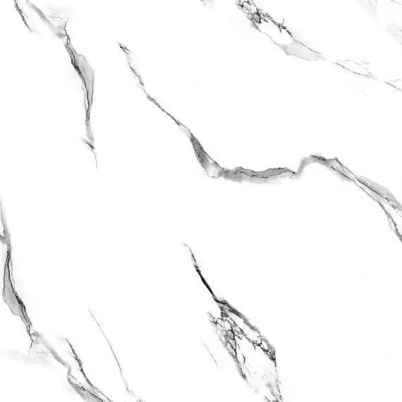 Molly white 60x60