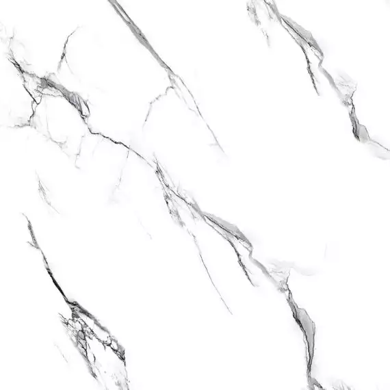 Molly white str 60x60