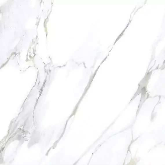Monster White 60x60