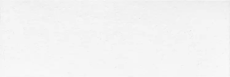 Mont Blanc Stein 30x90