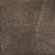 Montecoto Marron brillo 60,8x60,8