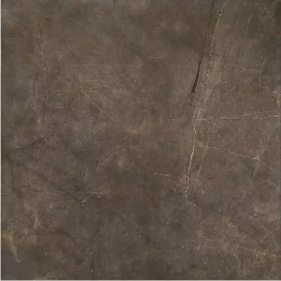 Montecoto Marron brillo 60,8x60,8