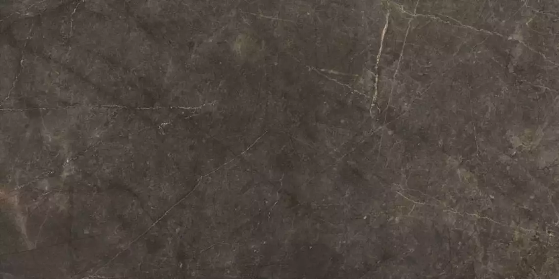 Montecoto Marron brillo 60x120