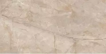 Monterial Taupe Matt 80х160