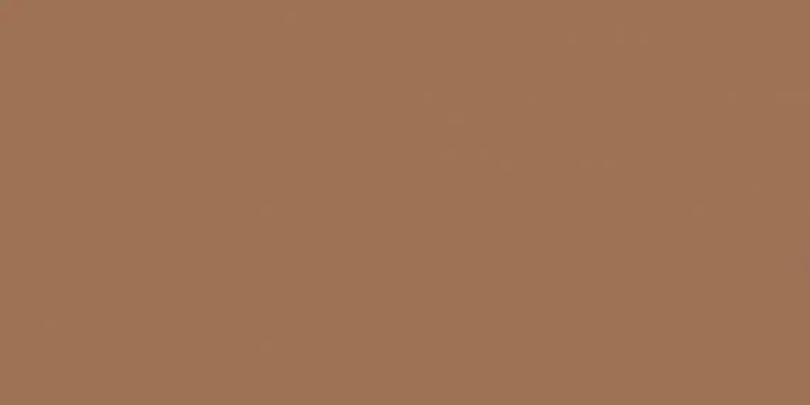 Montmartre Terre Rect. 60x120