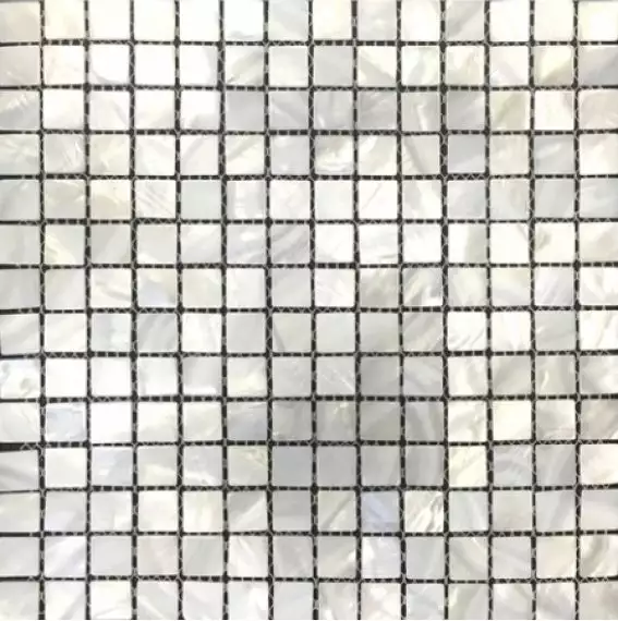 Moon Shell 30x30
