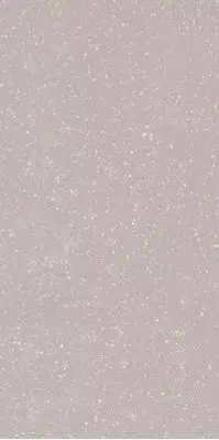 Moondust Silver Mat 59.8x119.8
